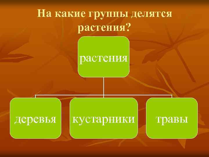 На какие группы делятся растения? растения деревья кустарники травы 