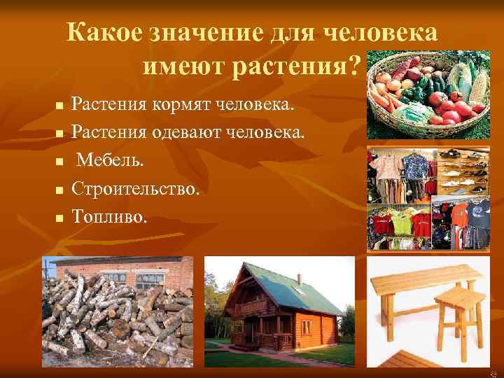 Какое значение для человека имеют растения? n n n Растения кормят человека. Растения одевают