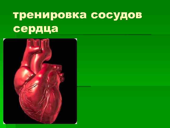 Тренированность сердца. Тренировка сердца. Упражнения для сердечно-сосудистой системы. Тренировка сердца презентация. Тренировка сердца и сосудов.