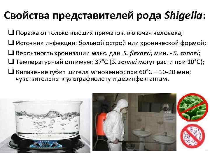 Свойства представителей рода Shigella: q Поражают только высших приматов, включая человека; q Источник инфекции: