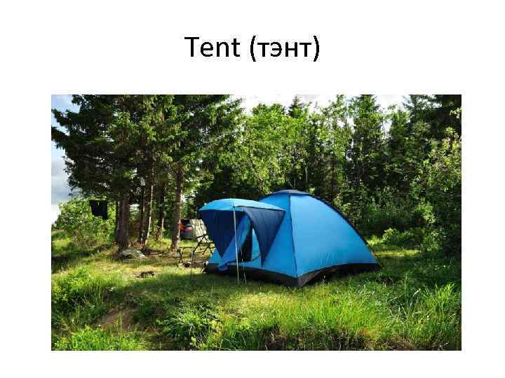 Tent (тэнт) 