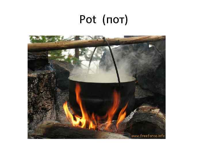 Pot (пот) 