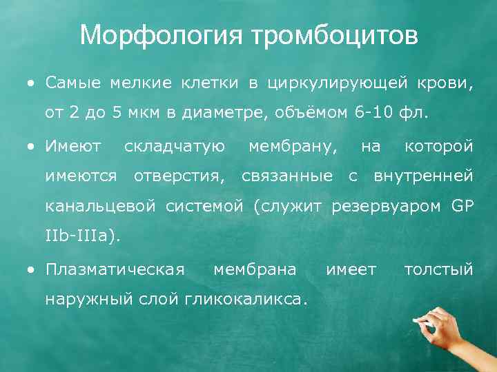 Морфология тромбоцитов • Самые мелкие клетки в циркулирующей крови, от 2 до 5 мкм