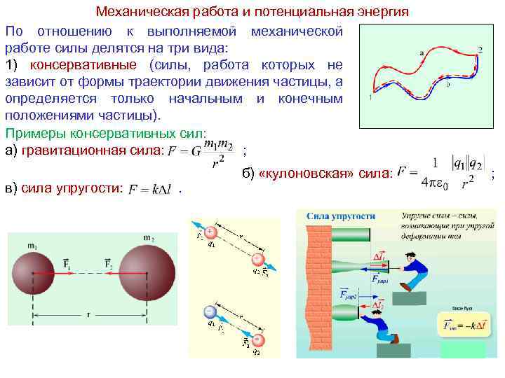 Механическая работа и потенциальная энергия По отношению к выполняемой механической работе силы делятся на