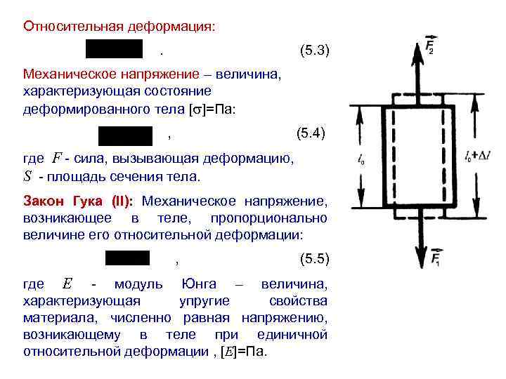 Относительная деформация: . (5. 3) Механическое напряжение – величина, характеризующая состояние деформированного тела [