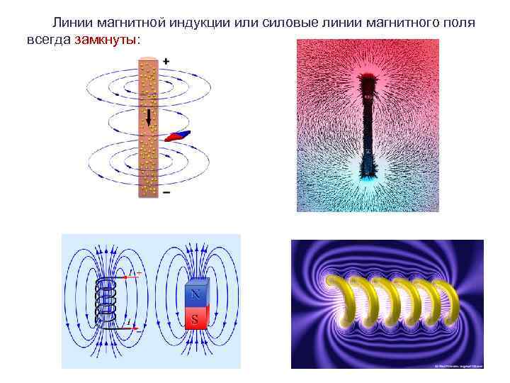 Линии магнитной индукции или силовые линии магнитного поля всегда замкнуты: 