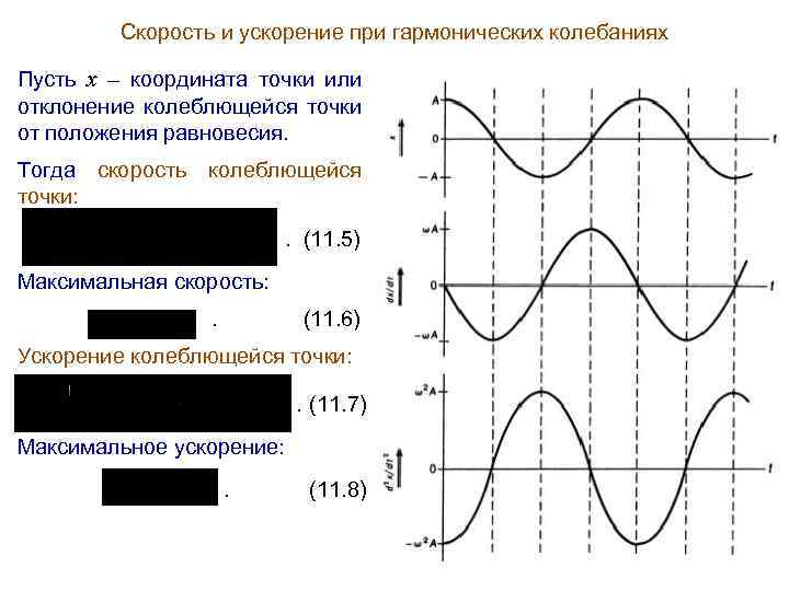Скорость и ускорение при гармонических колебаниях Пусть x – координата точки или отклонение колеблющейся