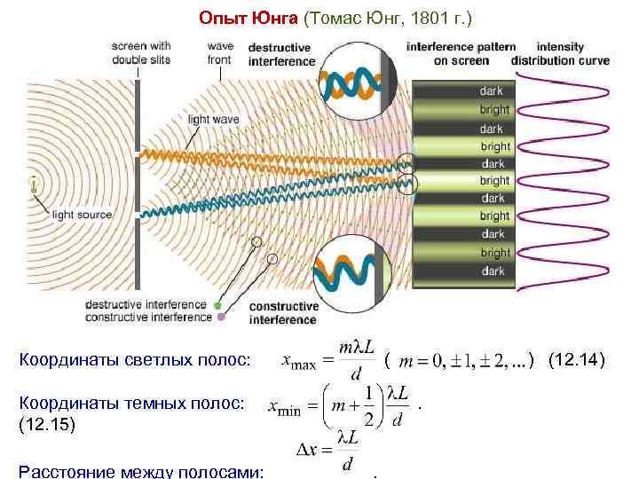 Опыт Юнга (Томас Юнг, 1801 г. ) Координаты светлых полос: ( ) (12. 14)