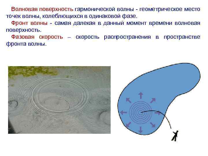 На рисунке представлена схема разбиения волновой поверхности ф на зоны френеля