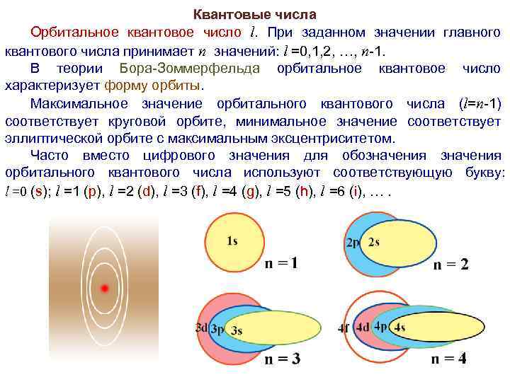 Квантовые числа Орбитальное квантовое число l. При заданном значении главного квантового числа принимает n