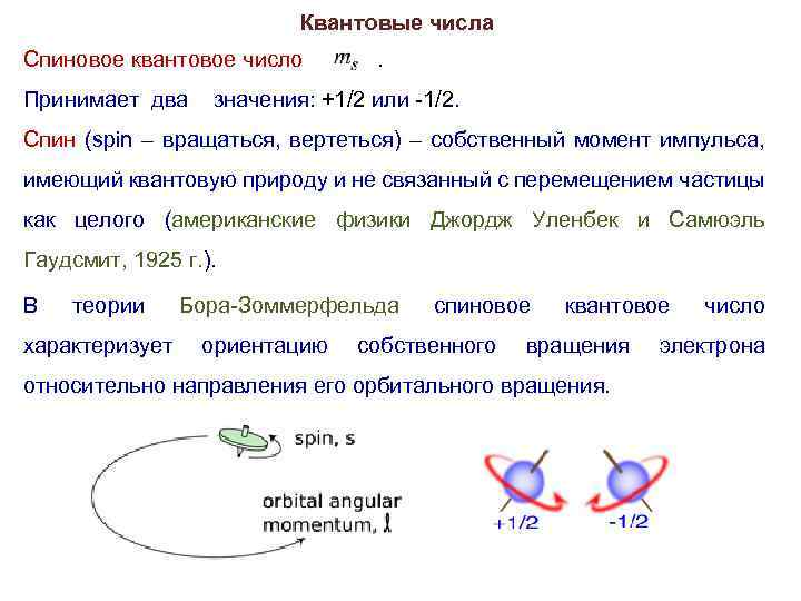 Квантовые числа Спиновое квантовое число . Принимает два значения: +1/2 или -1/2. Спин (spin