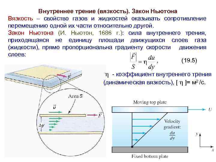 Внутреннее трение (вязкость). Закон Ньютона Вязкость – свойство газов и жидкостей оказывать сопротивление перемещению