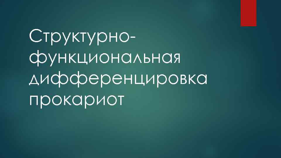 Структурнофункциональная дифференцировка прокариот 