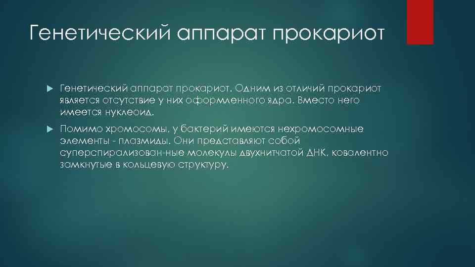 Генетический аппарат прокариот Генетический аппарат прокариот. Одним из отличий прокариот является отсутствие у них