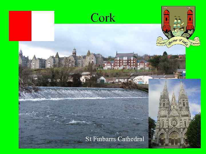 Cork St Finbarrs Cathedral 