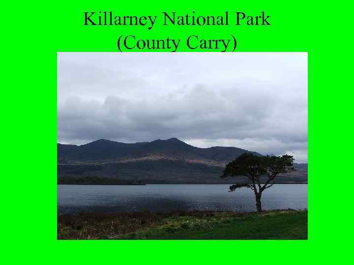 Killarney National Park (County Carry) 