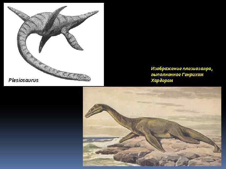 Plesiosaurus Изображение плезиозавра, выполненное Генрихом Хардером 