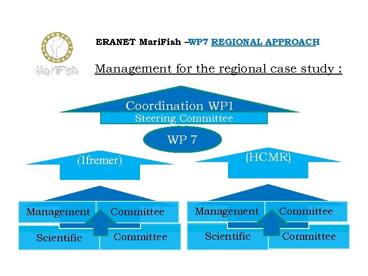 ERANET Mari. Fish –WP 7 REGIONAL APPROACH Management for the regional case study :