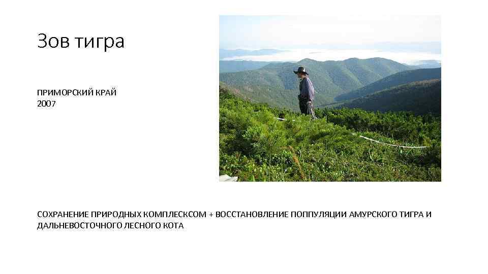 Зов тигра ПРИМОРСКИЙ КРАЙ 2007 СОХРАНЕНИЕ ПРИРОДНЫХ КОМПЛЕСКСОМ + ВОССТАНОВЛЕНИЕ ПОППУЛЯЦИИ АМУРСКОГО ТИГРА И