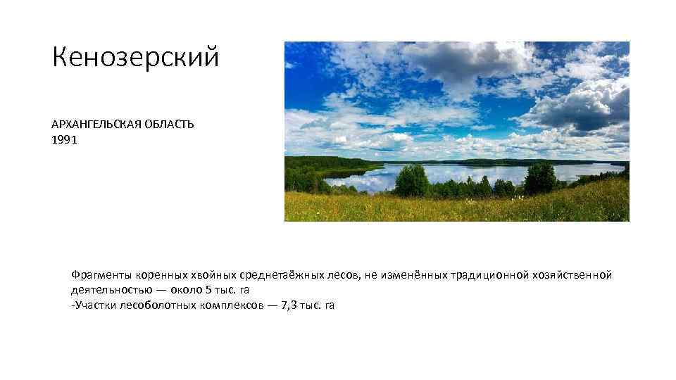 Кенозерский АРХАНГЕЛЬСКАЯ ОБЛАСТЬ 1991 Фрагменты коренных хвойных среднетаёжных лесов, не изменённых традиционной хозяйственной деятельностью