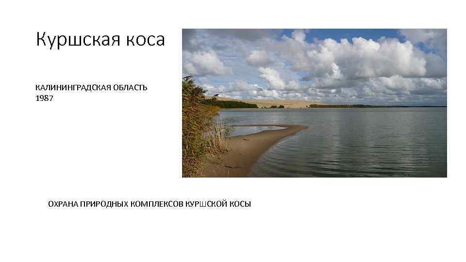 Куршская коса КАЛИНИНГРАДСКАЯ ОБЛАСТЬ 1987 ОХРАНА ПРИРОДНЫХ КОМПЛЕКСОВ КУРШСКОЙ КОСЫ 