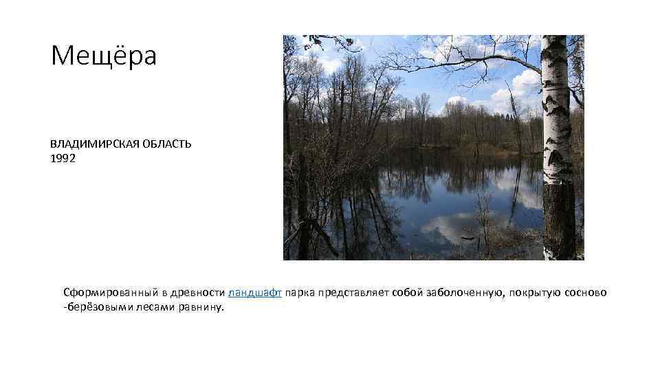 Мещёра ВЛАДИМИРСКАЯ ОБЛАСТЬ 1992 Сформированный в древности ландшафт парка представляет собой заболоченную, покрытую сосново