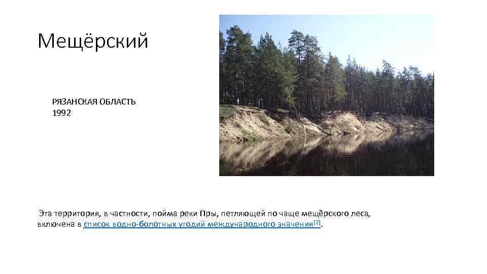 Мещёрский РЯЗАНСКАЯ ОБЛАСТЬ 1992 Эта территория, в частности, пойма реки Пры, петляющей по чаще