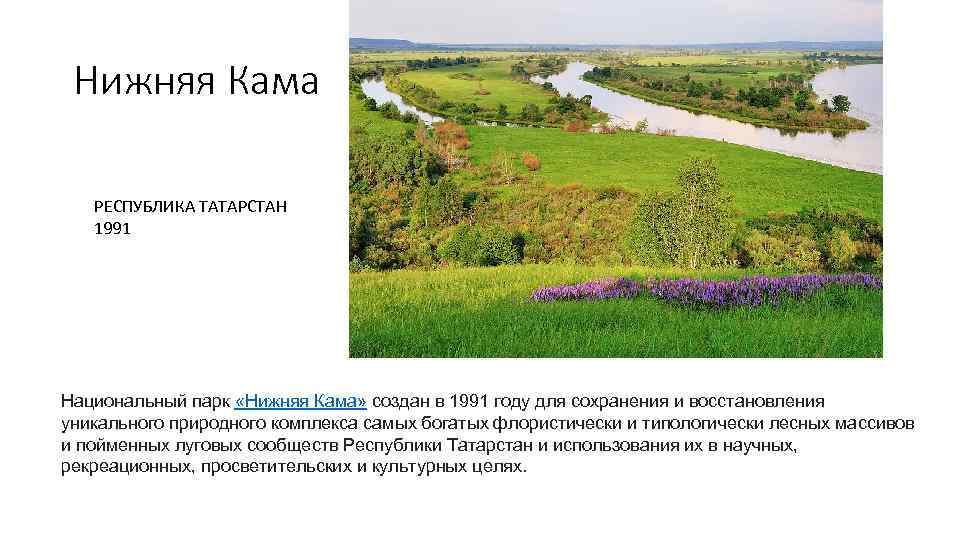 Нижняя Кама РЕСПУБЛИКА ТАТАРСТАН 1991 Национальный парк «Нижняя Кама» создан в 1991 году для