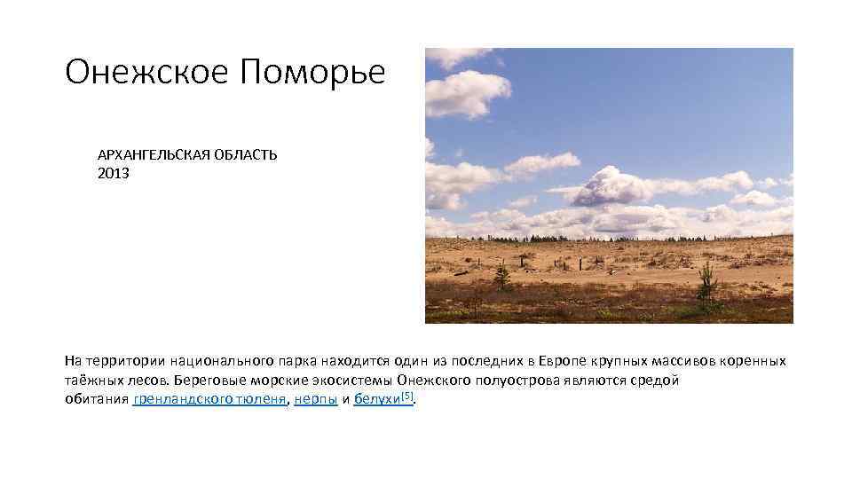 Онежское Поморье АРХАНГЕЛЬСКАЯ ОБЛАСТЬ 2013 На территории национального парка находится один из последних в