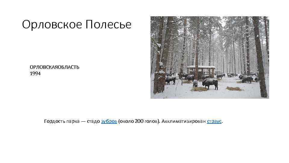 Орловское Полесье ОРЛОВСКАЯОБЛАСТЬ 1994 Гордость парка — стадо зубров (около 200 голов). Акклиматизирован страус.