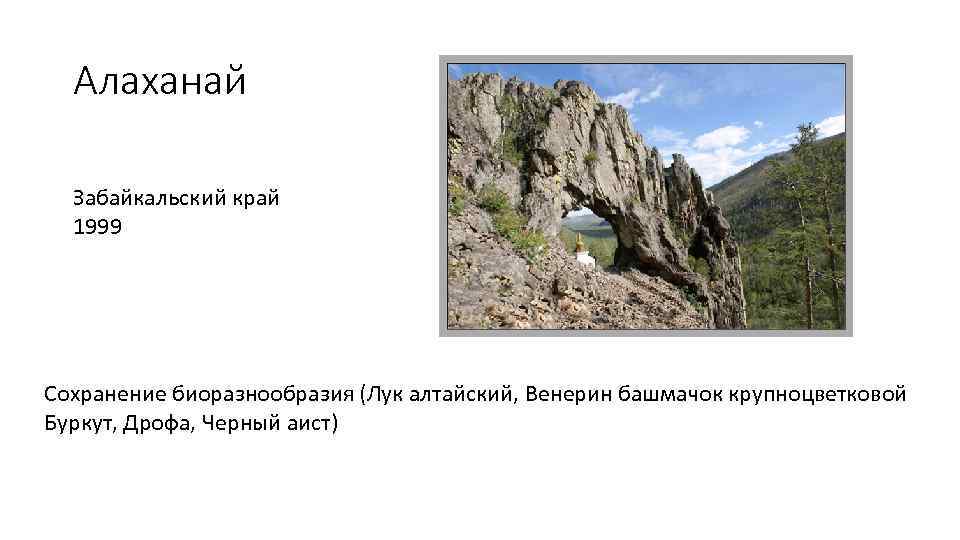 Алаханай Забайкальский край 1999 Сохранение биоразнообразия (Лук алтайский, Венерин башмачок крупноцветковой Буркут, Дрофа, Черный