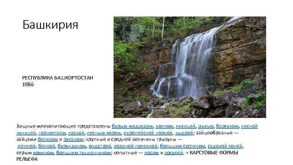 Башкирия РЕСПУБЛИКА БАШКОРТОСТАН 1986 Хищные млекопитающие представлены бурым медведем, волком, лисицей, рысью, барсуком, лесной