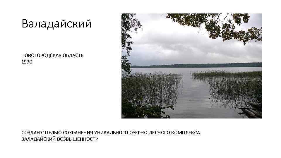 Валадайский НОВОГОРОДСКАЯ ОБЛАСТЬ 1990 СОЗДАН С ЦЕЛЬЮ СОХРАНЕНИЯ УНИКАЛЬНОГО ОЗЕРНО ЛЕСНОГО КОМПЛЕКСА ВАЛАДАЙСКИЙ ВОЗВЫШЕННОСТИ