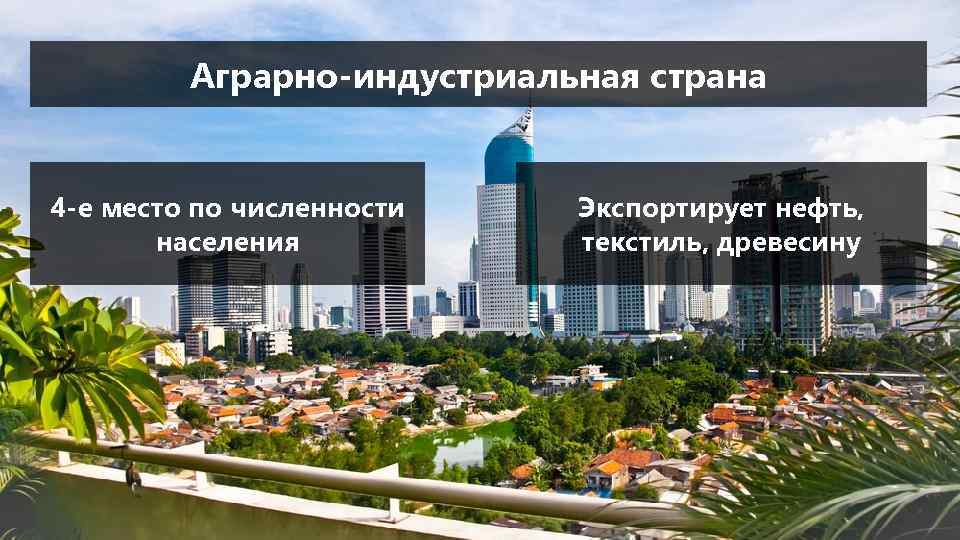 Аграрно-индустриальная страна 4 -е место по численности населения Экспортирует нефть, текстиль, древесину 