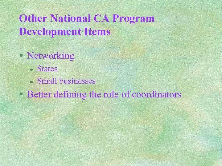 Other National CA Program Development Items § Networking l l States Small businesses §