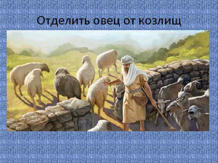 Отделить овец от козлищ 