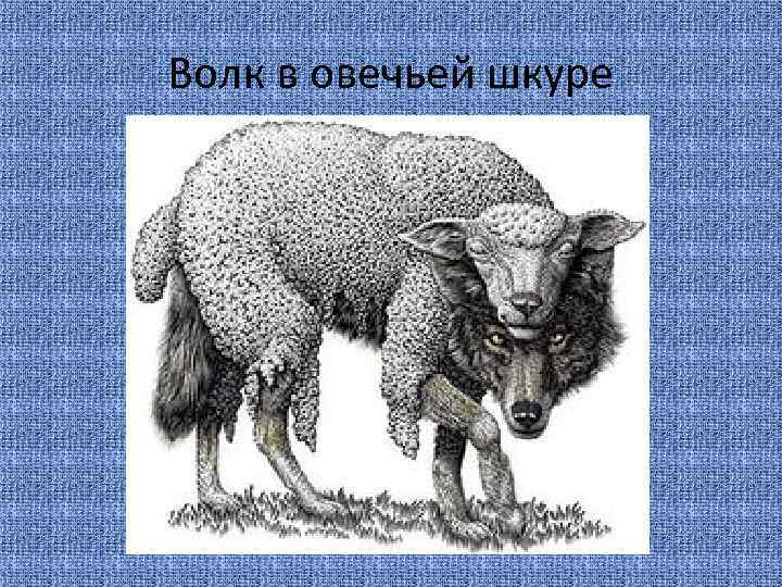 Волк в овечьей шкуре 