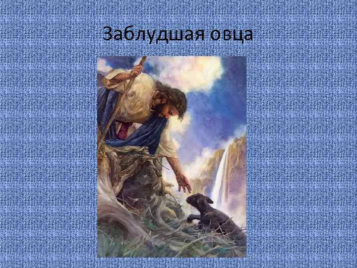 Заблудшая овца 