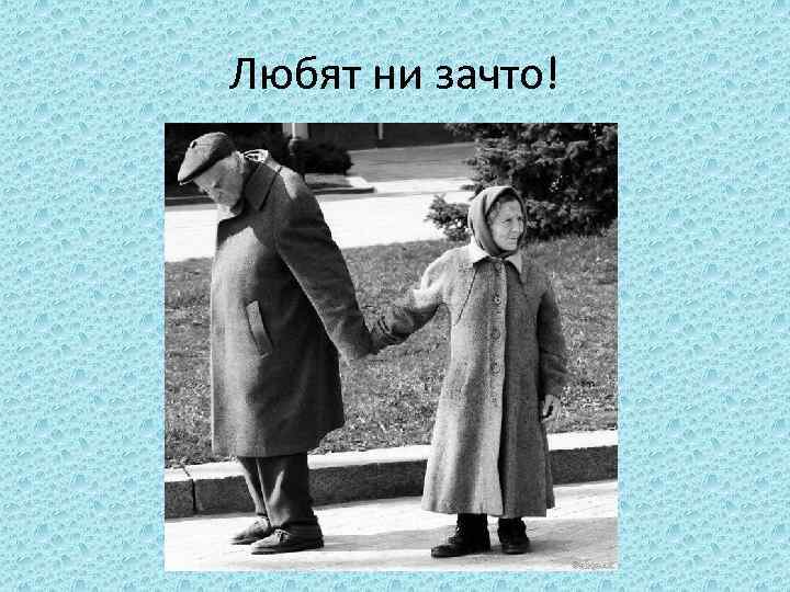 Любят ни зачто! 