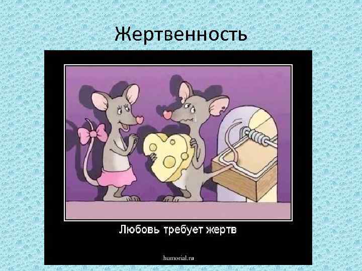 Жертвенность 