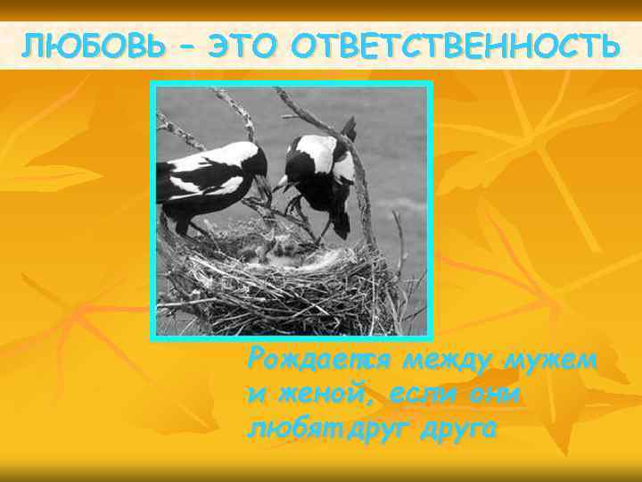 ЛЮБОВЬ – ЭТО ОТВЕТСТВЕННОСТЬ Рождается между мужем и женой, если они любят друга 