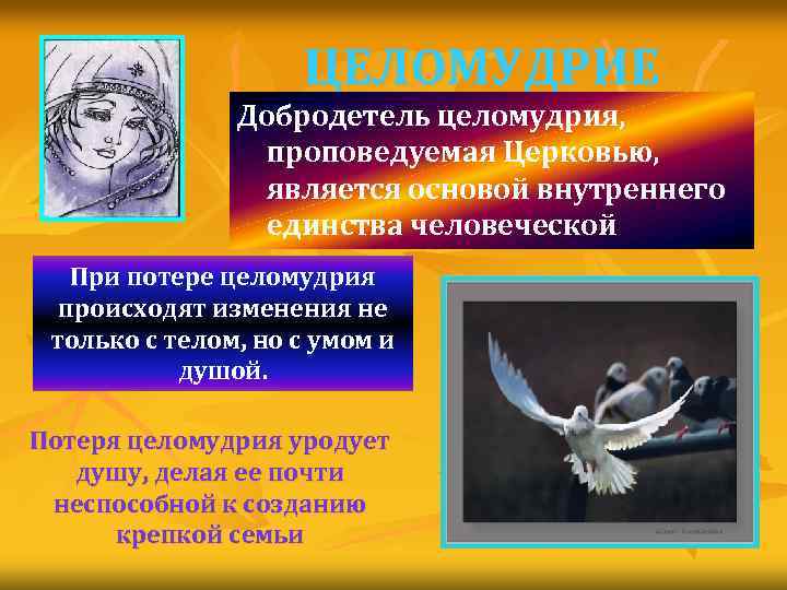 Целомудрие. Добродетель целомудрия. Целомудрие это простыми словами. Целомудрие это своими словами для детей. Воспитание Духовность целомудрие.