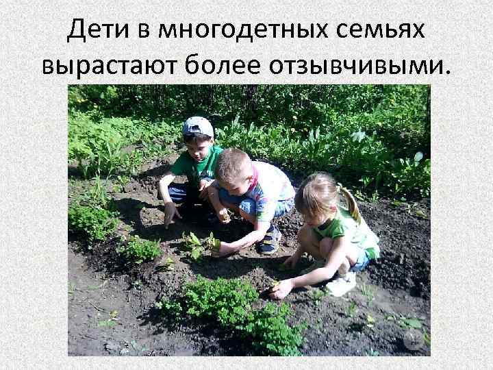 Дети в многодетных семьях вырастают более отзывчивыми. 