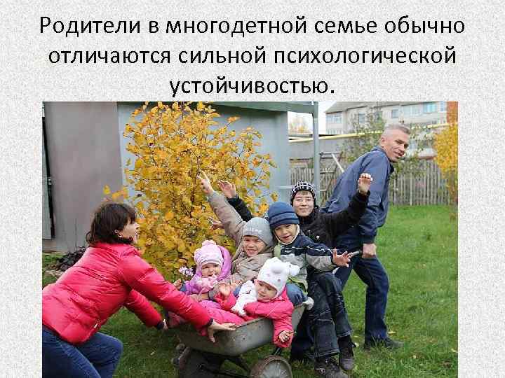 Родители в многодетной семье обычно отличаются сильной психологической устойчивостью. 