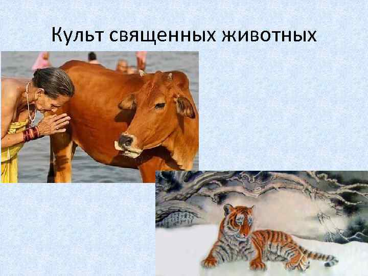 Культ священных животных 