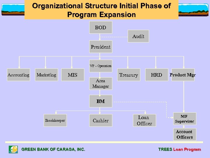 Organizational Structure Initial Phase of Program Expansion BOD Audit President VP - Operation Accounting