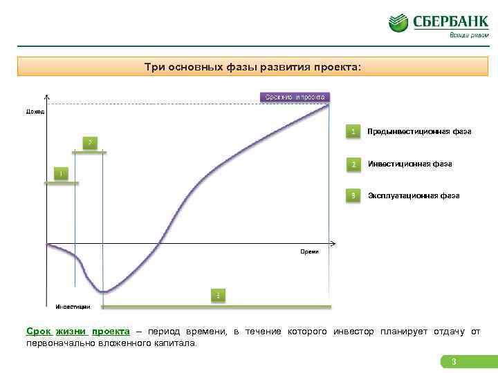 Три основных фазы развития проекта: Предынвестиционная фаза Инвестиционная фаза Эксплуатационная фаза Срок жизни проекта