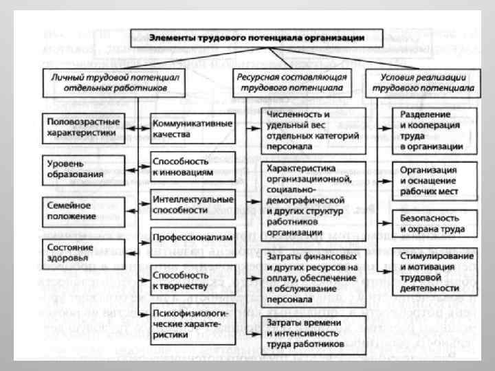 Презентация кадровый потенциал предприятия