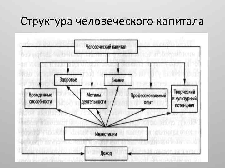 Структура человеческого