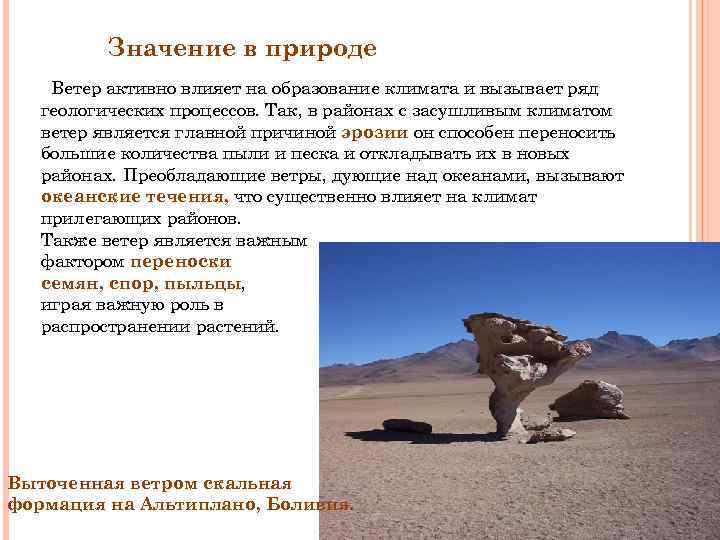 Значение в природе Ветер активно влияет на образование климата и вызывает ряд геологических процессов.